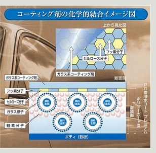 コーティング剤の科学的結合イメージ図